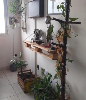 Cidade Baixa House | Pet-Friendly Retreat: Apto do Thiago e da Chori Awaits