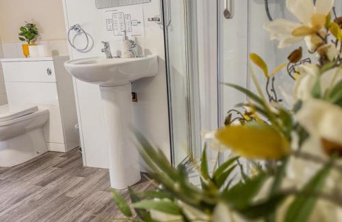 Frampton Hotel | Explore Quayside Hotel & Bar: Family-Friendly Retreat