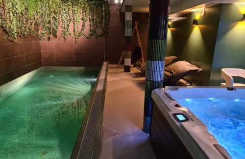 Clichy-Sous-Bois House | Relaxing Villa Room with Spa Package and Pool Access