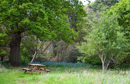 Saxmundham House | Relax at Queenies: Coastal Cottage in Nature Reserve