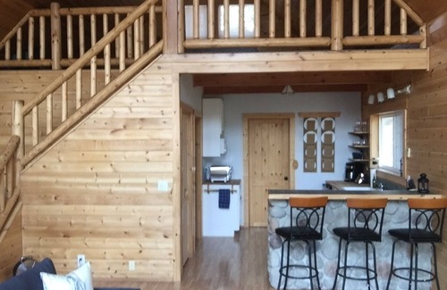 Cle Elum Cabin | Tranquil Cabin Retreat with Loft for Stargazing & Pets
