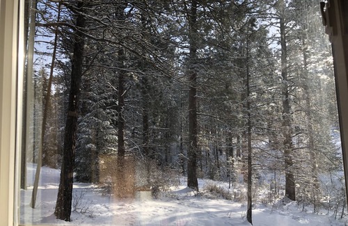 Cle Elum Cabin | Tranquil Cabin Retreat with Loft for Stargazing & Pets