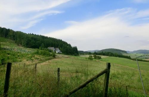 Menkhausen Apartment | Inviting Apartment in Sauerland with Private Terrace