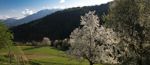 Prevalje Apartment | Cozy Blue in Green Apartment near Single Trail Park Jamnica