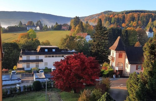 Le Hohwald Apartment | Bright 3* Studio in Hohwald, Perfect for Hiking Lovers