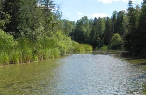 Hubbard Lake House | Peaceful Cabin Retreat on the Thunder Bay River - Guest Rated 9.8