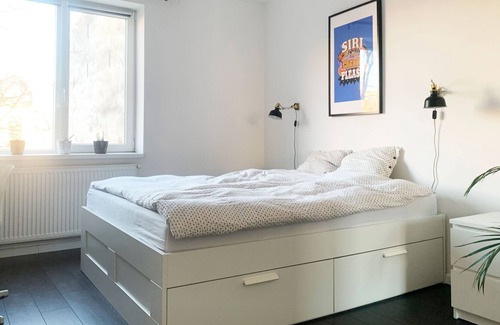 Cluj-Napoca Apartment | Quiet Central Green Apartment for Remote Work & Families