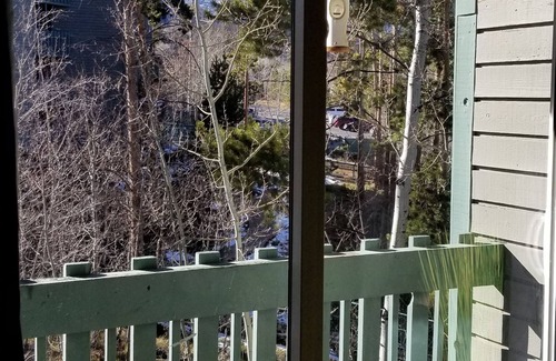 Wildernest Condo | Relaxing Condo in Ski Country with Pool and Hot Tub!