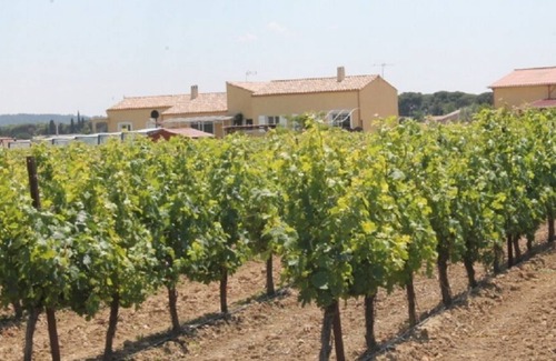 Salleles-d'Aude House | Quiet cottage, surrounded by vineyards with swimming pool 20 km from the sea!