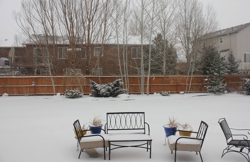 Monument House | Family-Friendly Retreat Near AFA with Great Amenities