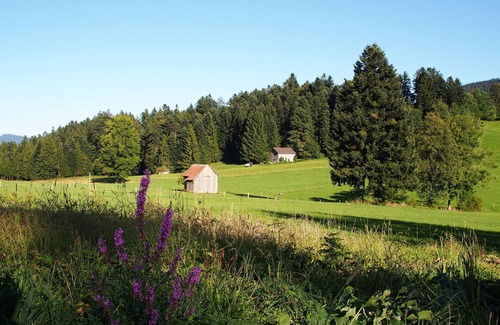 Alberschwende Apartment | Ideal Holiday Apartment with Pool Near Lake Constance