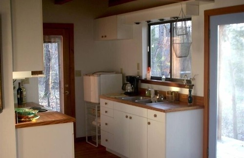 Chandler Cottage | Pet-Friendly Lofted Cabin Near Edom's Art Community