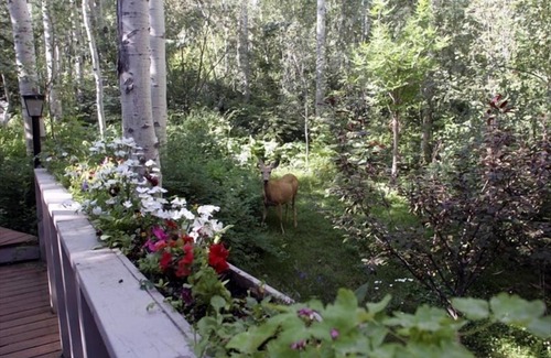 Snowmass Village House | Serene Retreat with Private Hot Tub, Steps from Ski Lifts