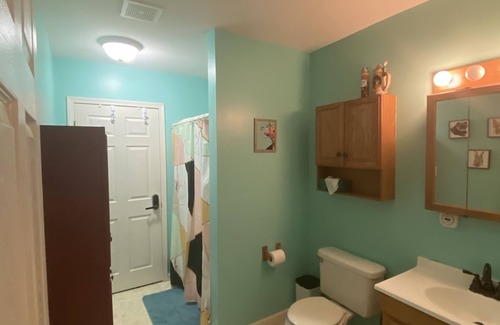 Caneadea Cabin | Serene Woodland Retreat with Ocean View & Pet-Friendly Dwellings