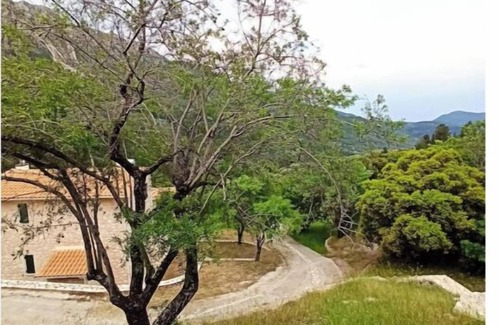 Agios Petros Villa | Quiet, solar-powered house in the heart of nature Pets welcome