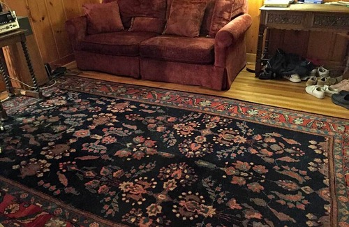 Downtown Berkeley House | Serene North Berkeley Home: Steps to UC and Downtown