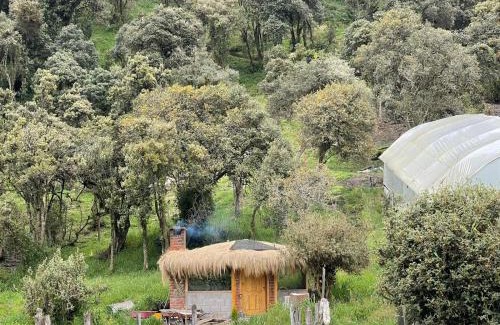 Papallacta Cabin | Cozy Quinde Ñan Lodge with Top-Rated Restaurant Experience