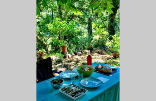 Ulgueira Apartment | Scenic Quinta Biológica with Restaurant in Serra de Sintra