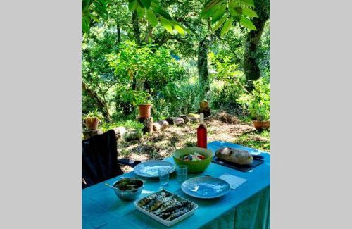 Ulgueira Apartment | Scenic Quinta Biológica with Restaurant in Serra de Sintra