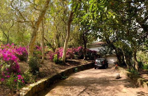 Ulgueira Apartment | Scenic Quinta Biológica with Restaurant in Serra de Sintra
