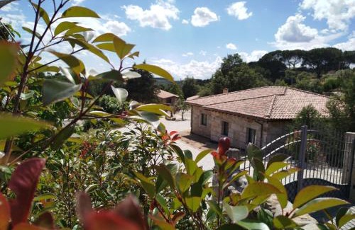 Mangualde Resort | Quinta da Abadia: Pet-Friendly Hotel with Oceanfront Pool
