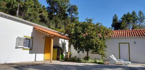 Fundao House | Discover Quinta da Barroquinha: Pet & Child-Friendly Retreat