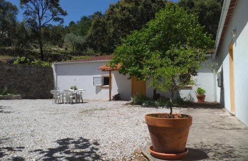 Fundao House | Discover Quinta da Barroquinha: Pet & Child-Friendly Retreat