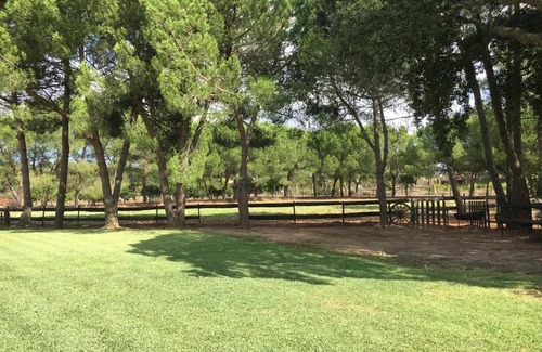 Salvaterra de Magos House | Experience Quinta da Lagoa: Family-Friendly Retreat