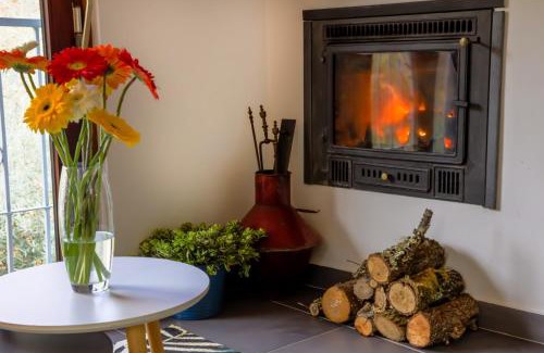 Tabua House | Quinta da Lontra: Beachfront Escape with Pet-Friendly Perks
