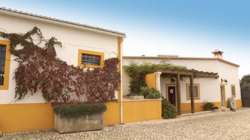 Sao Vicente do Paul House | Discover Quinta Da Mata: Family-Friendly Oceanfront Retreat