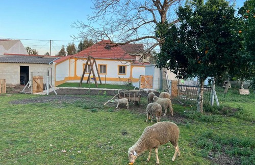 Pombal House | Discover Quinta da Nogueira: Rated 9.8, Pet Friendly Stay