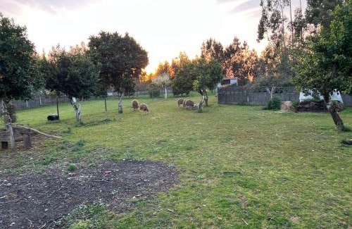 Pombal House | Discover Quinta da Nogueira: Rated 9.8, Pet Friendly Stay
