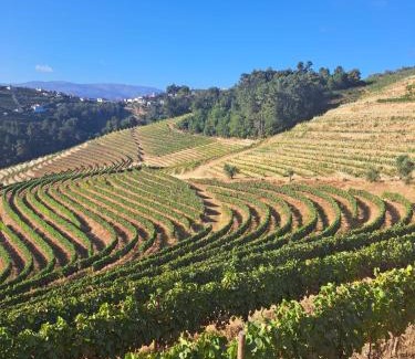 Peso da Regua House | Family-Friendly Quinta da Portelada with Oceanfront Pool