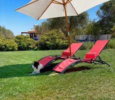 Vimieiro House | Exceptional Quinta da Tapada de São Pedro with Ocean Views