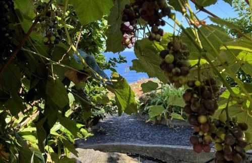 Arco de Sao Jorge House | Quinta das Hortênsias: Family-Friendly Retreat with High Ratings