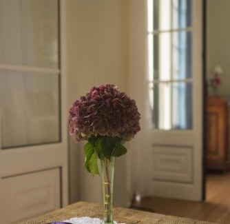 Arco de Sao Jorge House | Quinta das Hortênsias: Family-Friendly Retreat with High Ratings