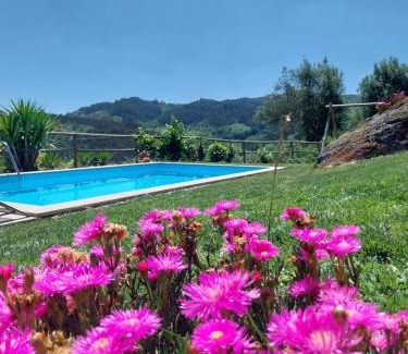 Petimao House | Quinta das Netas