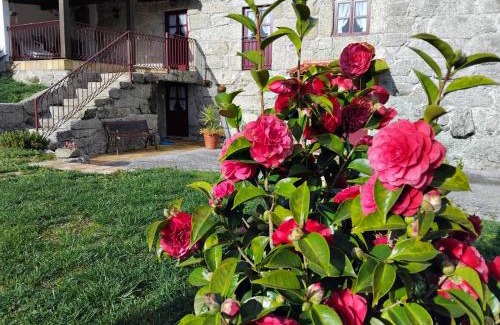 Petimao House | Quinta das Netas