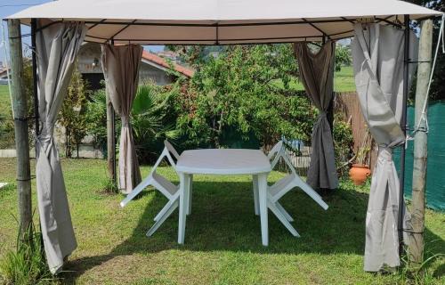 Pevidem House | Experience Quinta de Carvalhal: Family-Friendly Retreat