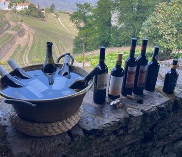 Peso da Regua House | Relax at Quinta de Santa Júlia with Oceanfront Views