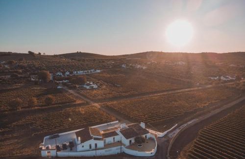 Borba House | Quinta do Barreiro