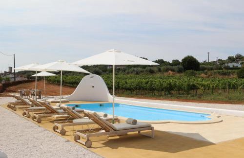 Borba House | Quinta do Barreiro