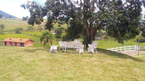 Paraisopolis Other | Discover Quinta do Bebas: Pet-Friendly & Family Amenities