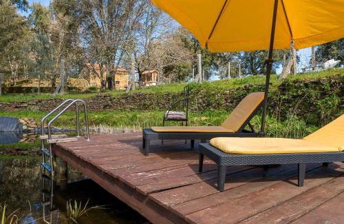 Arouca House | Discover Quinta do Cavaco: Pet-Friendly Retreat with Pool