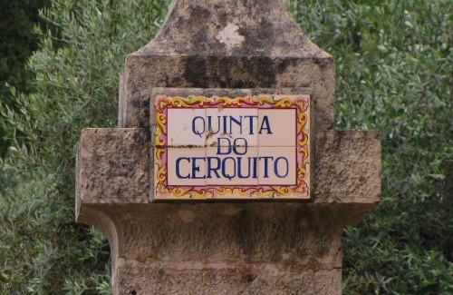 Nossa Senhora do Pranto House | Family-Friendly Quinta do Cerquito with 9.6/10 Guest Rating