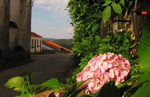 Nossa Senhora do Pranto House | Family-Friendly Quinta do Cerquito with 9.6/10 Guest Rating