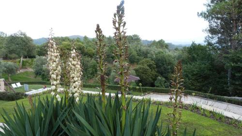 Cabeceiras de Basto House | Exceptional Quinta do Correia: 4-Star Stay with Pool Access