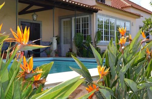 Triana House | Quinta do Covanco: Oceanfront Retreat with Pool & Pets Welcome