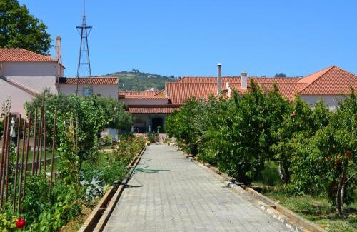 Triana House | Quinta do Covanco: Oceanfront Retreat with Pool & Pets Welcome