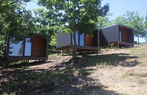 Paredes House | Quinta do Grande Herdeiro: Family-Friendly Oasis with Pool